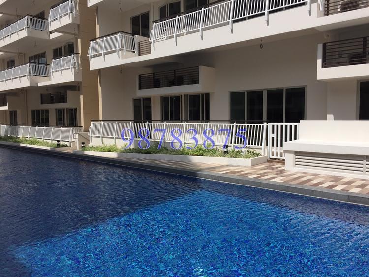 Whitehaven (D5), Apartment #142228912